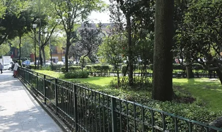 La vida nocturna en San Ángel