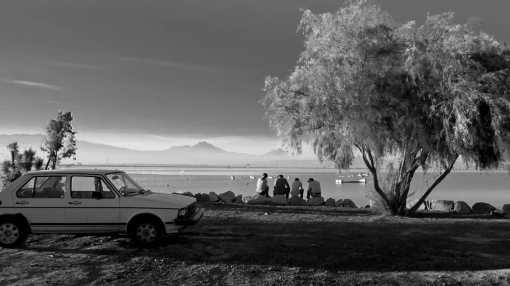 MUBI y Museo Tamayo homenajean al cine mexicano