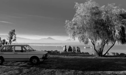 MUBI y Museo Tamayo homenajean al cine mexicano