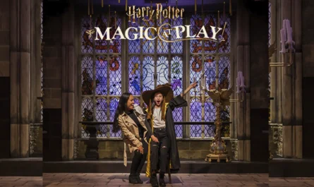 Experiencia interactiva Harry Potter CDMX