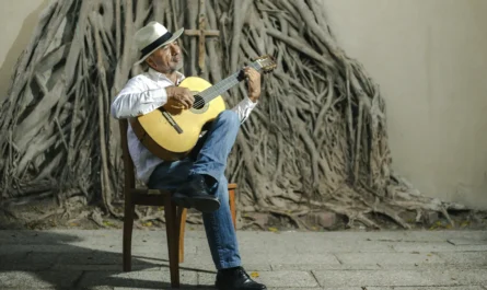 Oaxaca y trova contemporánea