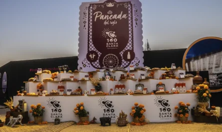 Los mejores panes de muerto en CDMX