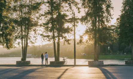 5 eventos gratuitos en Chapultepec