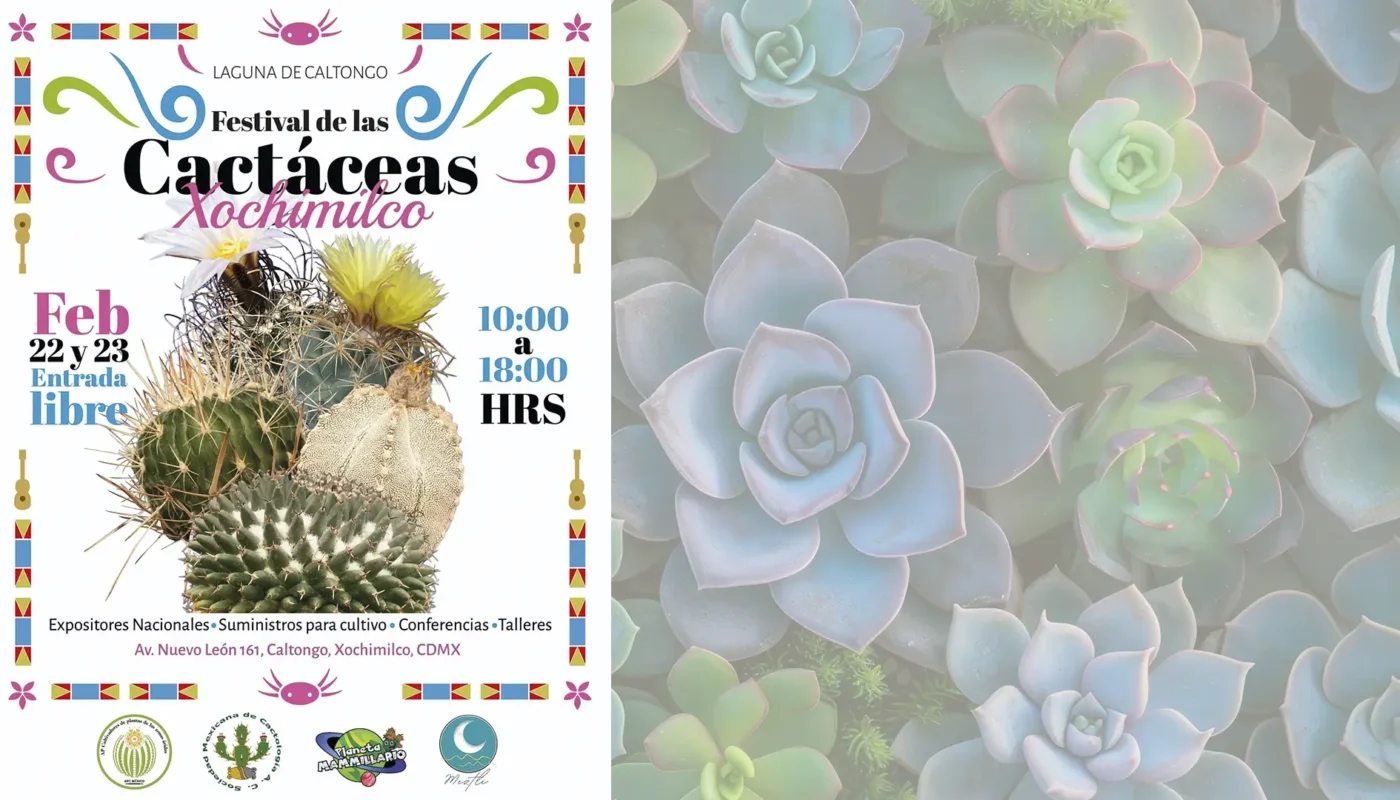 Festival de las cactáceas 2025