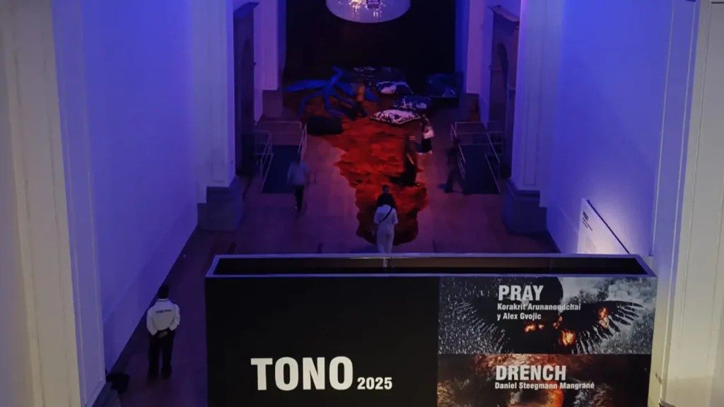 Arte inmersivo en TONO 2025