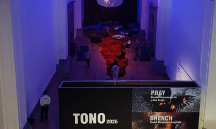 Arte inmersivo en TONO 2025