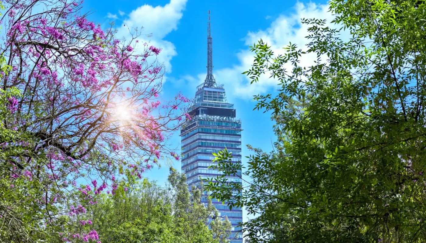 Los 8 mejores miradores de CDMX