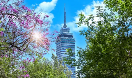 Los 8 mejores miradores de CDMX