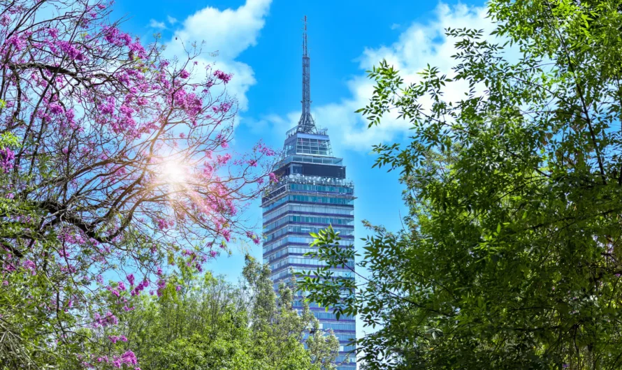 Los 8 mejores miradores de CDMX