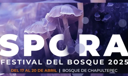 Cómo disfrutar al máximo SPORA 2025 en familia