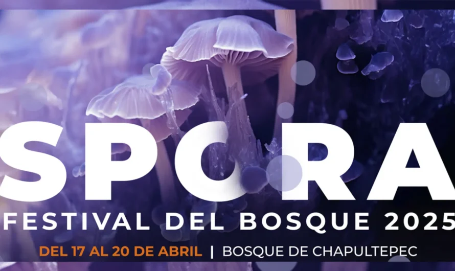 ¿Cómo disfrutar al máximo SPORA 2025 en familia?