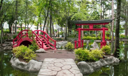 Un jardín japonés en México Sí