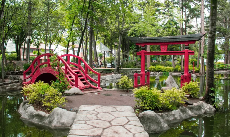 ¿Un jardín japonés en México? ¡Sí!