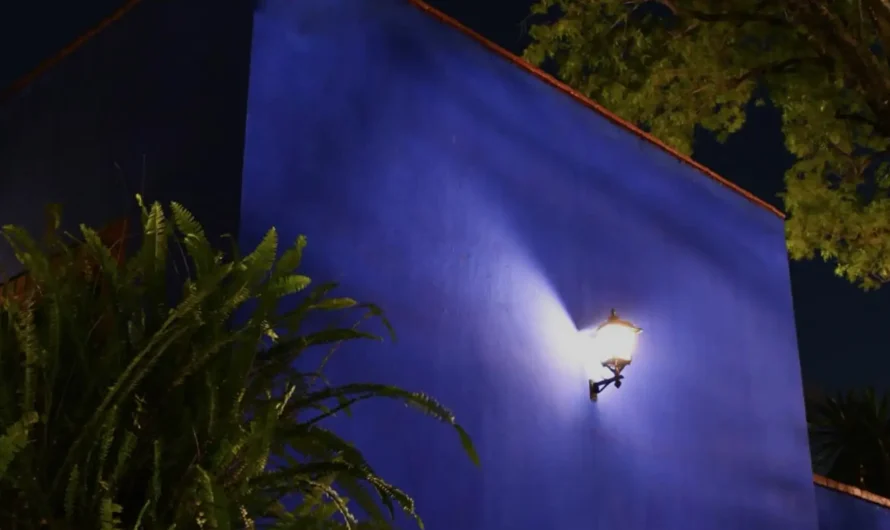Noche Azul en el Museo Frida Kahlo