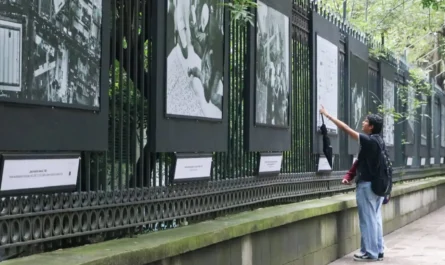 19S la exposición que revela resiliencia y solidaridad