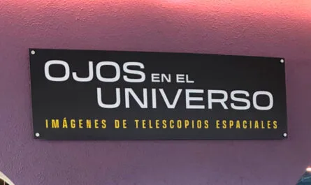 Ojos en el universo