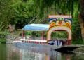 Xochimilco más allá de la trajinera