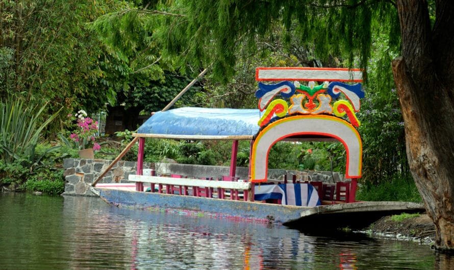 Xochimilco más allá de la trajinera