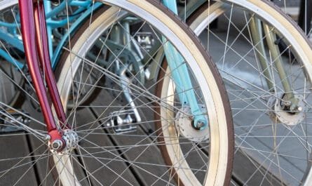 paseo ciclista gratuito en CDMX