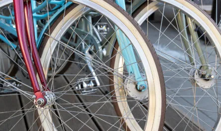 paseo ciclista gratuito en CDMX
