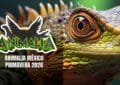 Animalia Primavera 2026 CDMX