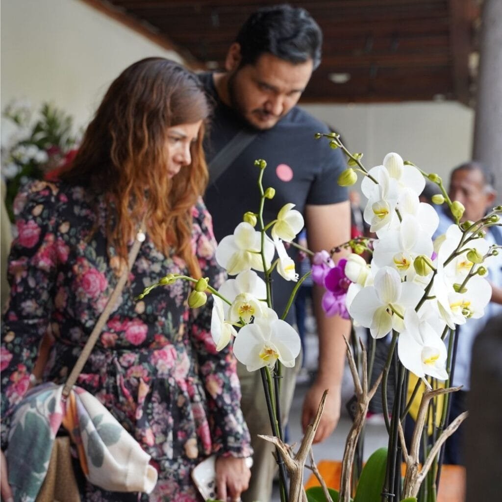 Expo Orquídeas en el Franz Mayer