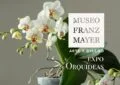 Expo orquídeas en el Franz Mayer