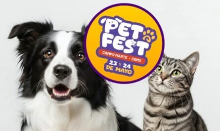 PetFest 2026 CDMX