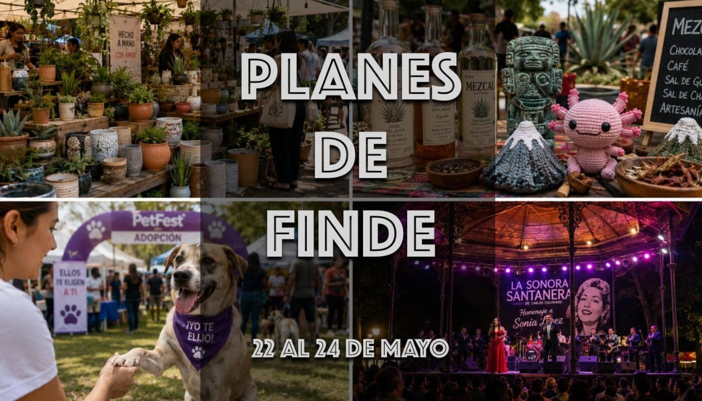 qué hacer en CDMX este fin de semana