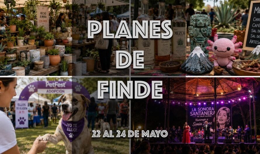 qué hacer en CDMX este fin de semana