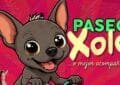 Rodada nocturna CDMX gratis