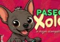Rodada nocturna CDMX gratis