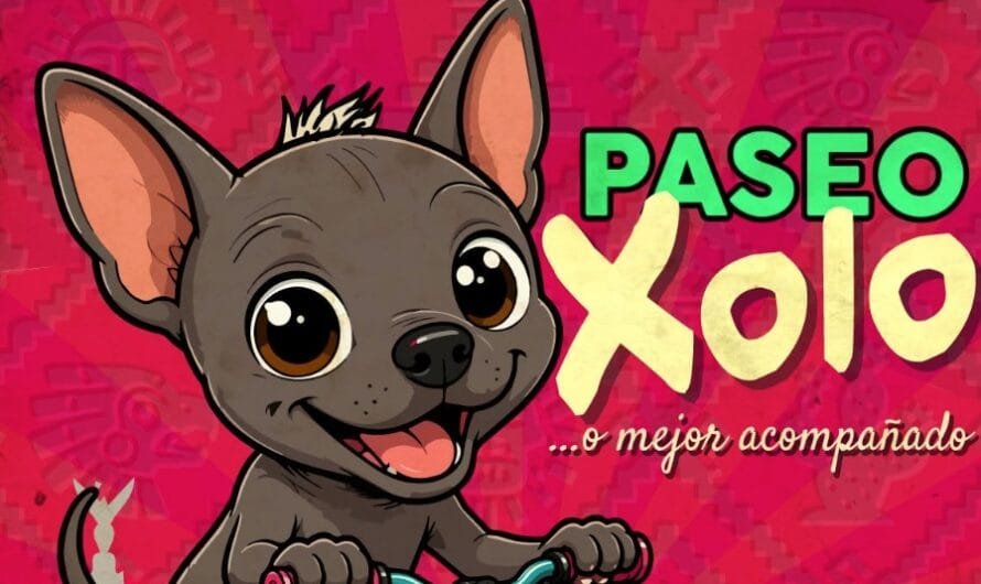 Rodada nocturna CDMX gratis