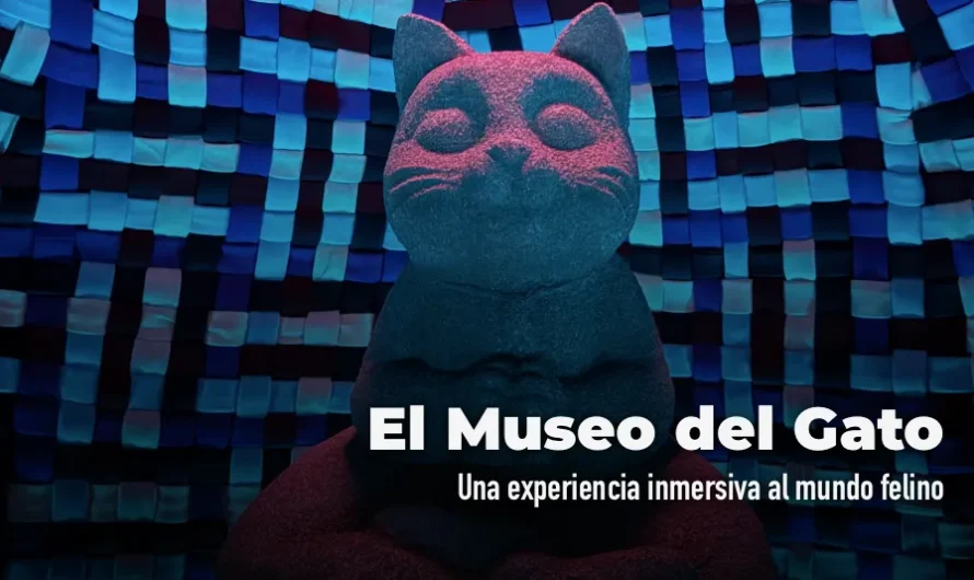 Museo del Gato CDMX