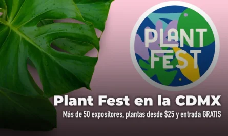 Plant Fest CDMX 2026