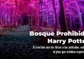 Bosque Prohibido Harry Potter