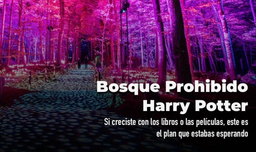 Bosque Prohibido Harry Potter: 2 horas de magia y precios