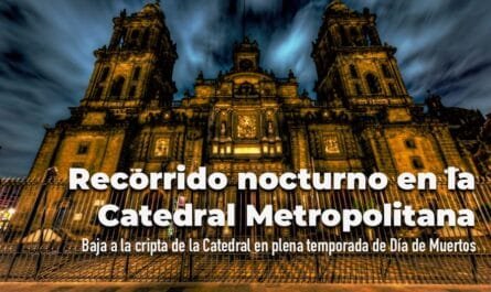 Recorrido nocturno Catedral Metropolitana
