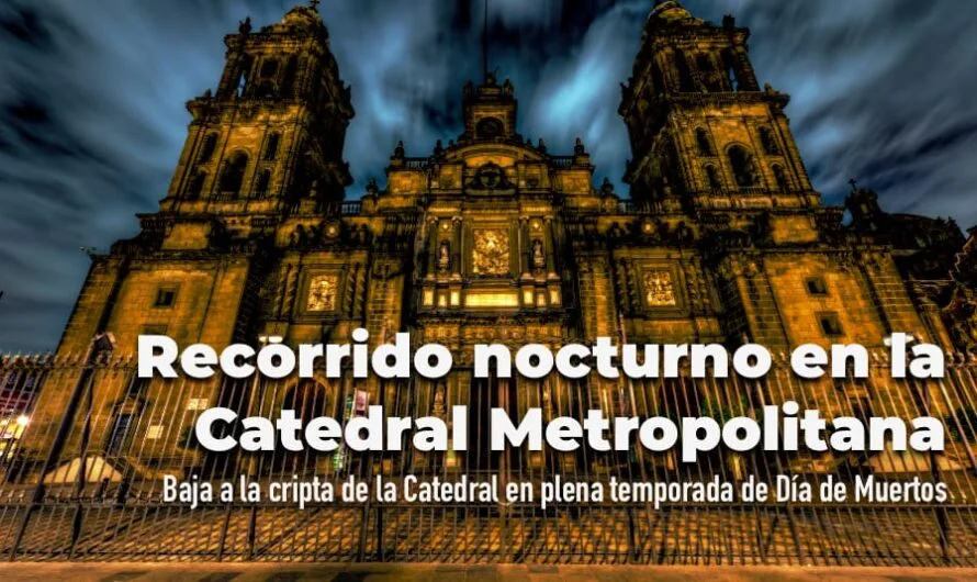 Recorrido nocturno Catedral Metropolitana